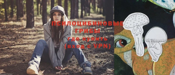 ГАЛЛЮЦИНОГЕННЫЕ ГРИБЫ Новозыбков