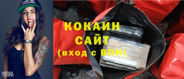 ГАЛЛЮЦИНОГЕННЫЕ ГРИБЫ Новозыбков